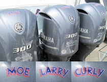 Moe Larry Curly